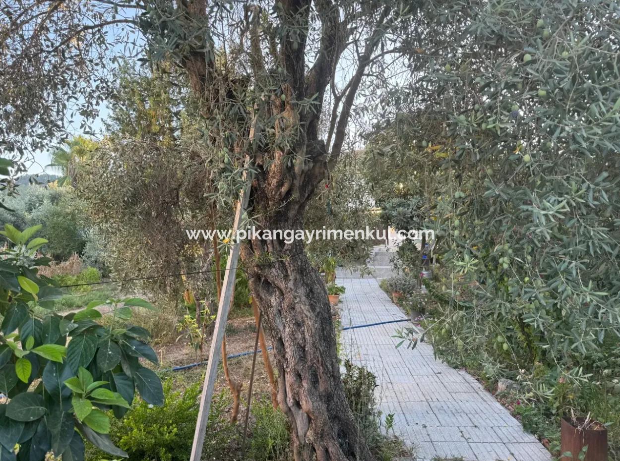 Muğla, Ortaca, Okçularda Good Location 650 M2 Residential Zoned Land For Sale