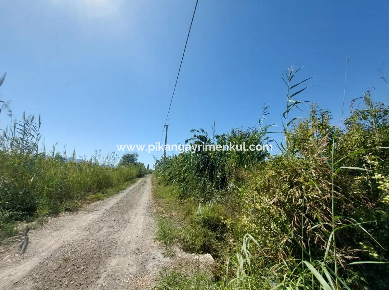 8126 M2 Investment And Pomegranate Orchard Suitable For Zirayi Loan Is For Sale In Ortaca Tepe