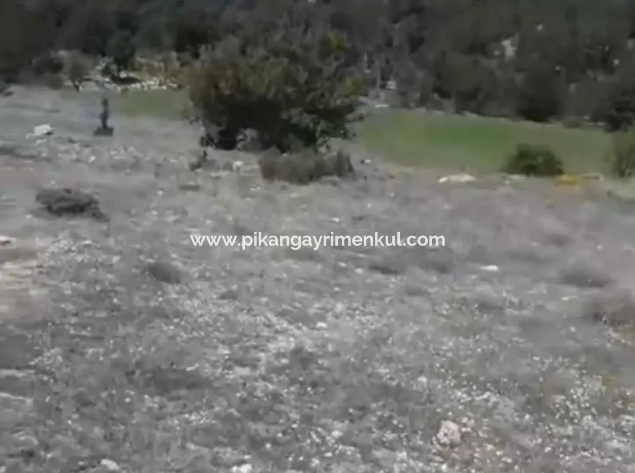 1770 M2 Field For Sale In Çameli Ayvacık
