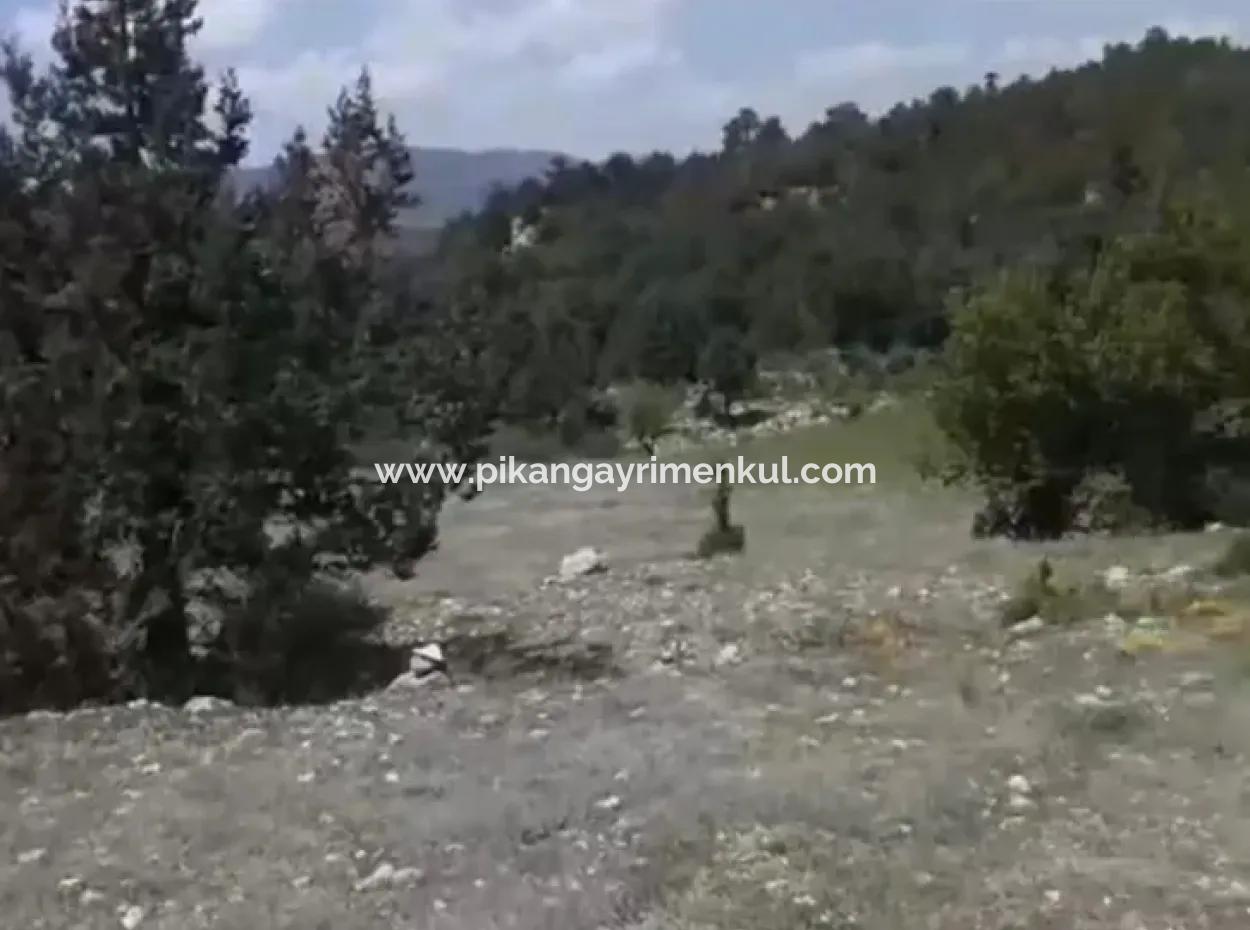 2030 M2 Field For Sale In Çameli Ayvacık