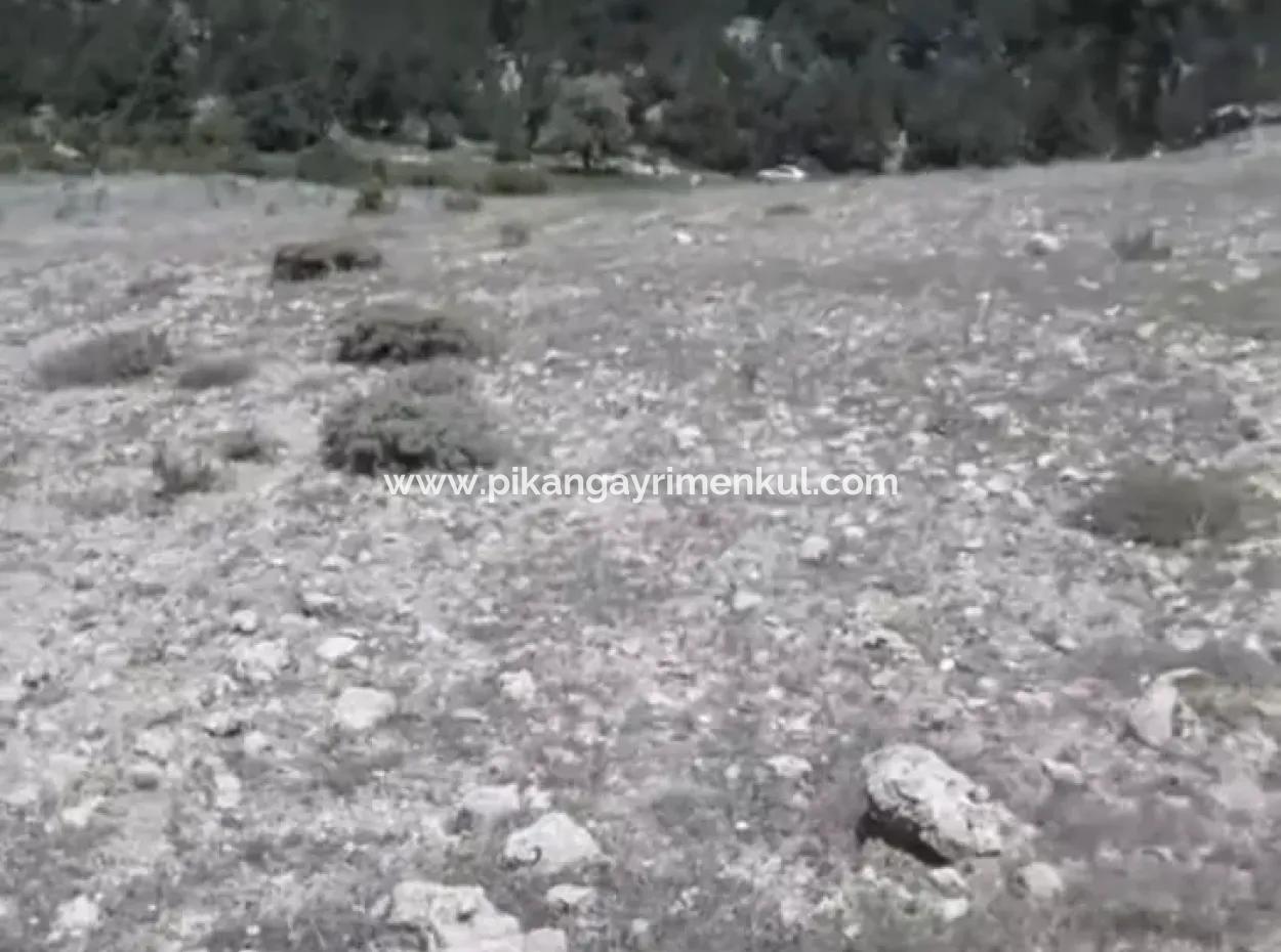 2030 M2 Field For Sale In Çameli Ayvacık