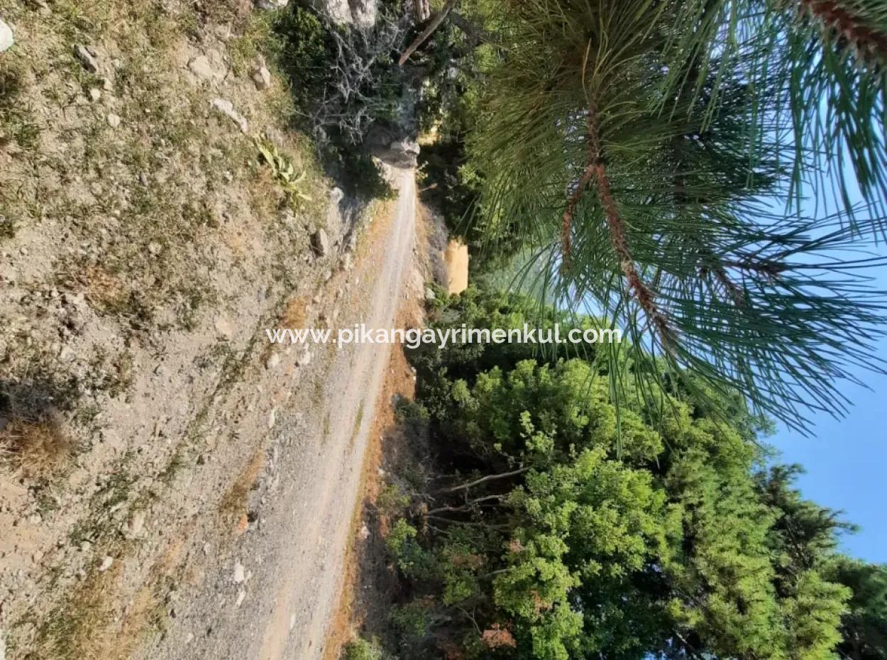 Fethiye, Nif Te, 2 100 M2, For Sale, Bargain Land