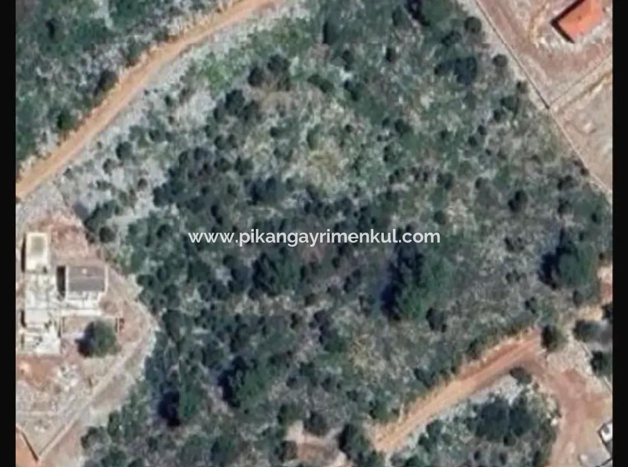 2610 M2 Land For Sale In Fethiye Gökçeovacık