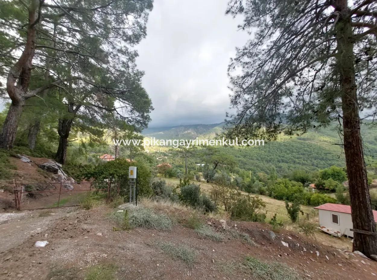 Muğla Köyceğiz Ağla - 535 M2 Land And Tiny House House For Sale In The Plateau