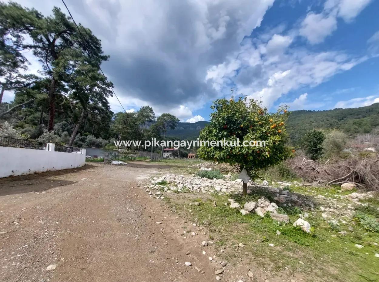 1 000 M2 Land For Sale In Muğla Köyceğiz Çandır Center
