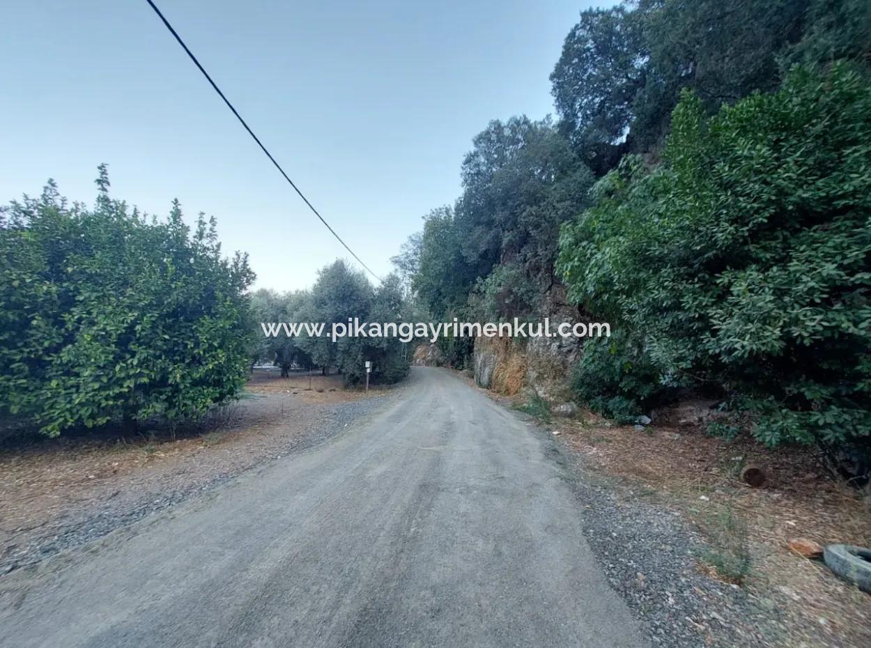 1.300 M2 Detached 250M2 Residential Zoned Land For Sale In Muğla, Ortaca, Karadonlar