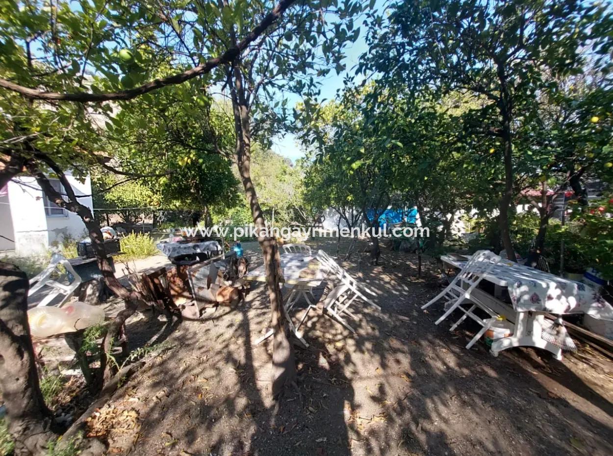 Köyceğiz Çandır Dalyan Canal Zero 865 M2 House And Restaurant For Sale