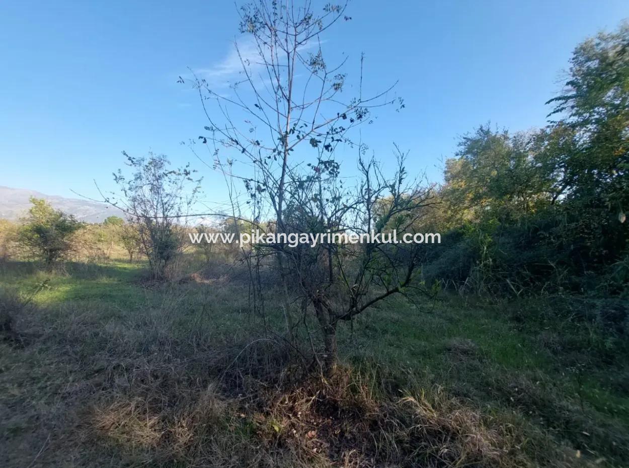 9 600 M2 Land Close To The Lake In Köyceğiz Toparlar Is For Sale
