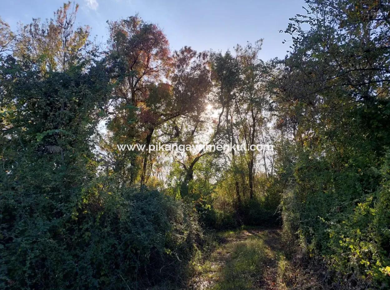 9 600 M2 Land Close To The Lake In Köyceğiz Toparlar Is For Sale