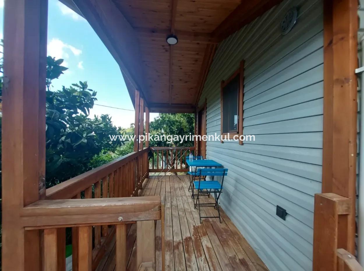 Muğla Ortaca Gökbel Doga With Swimming Pool 1 1 Wooden Furnished Bungalow For Rent
