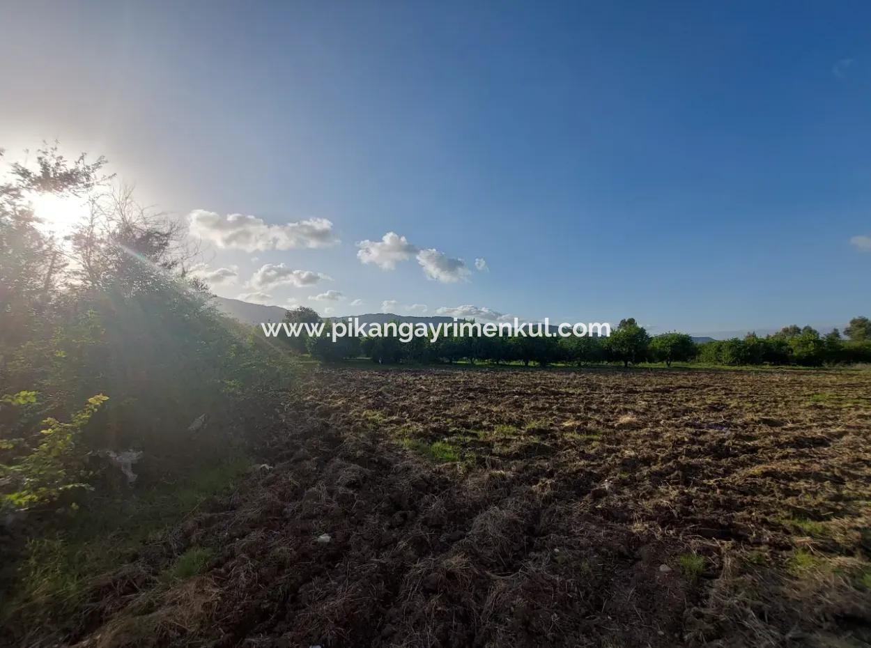 Muğla Ortaca, Dalaklı 2.000 M2, 400 M2 Residential Zoned Land For Sale With Construction Rights