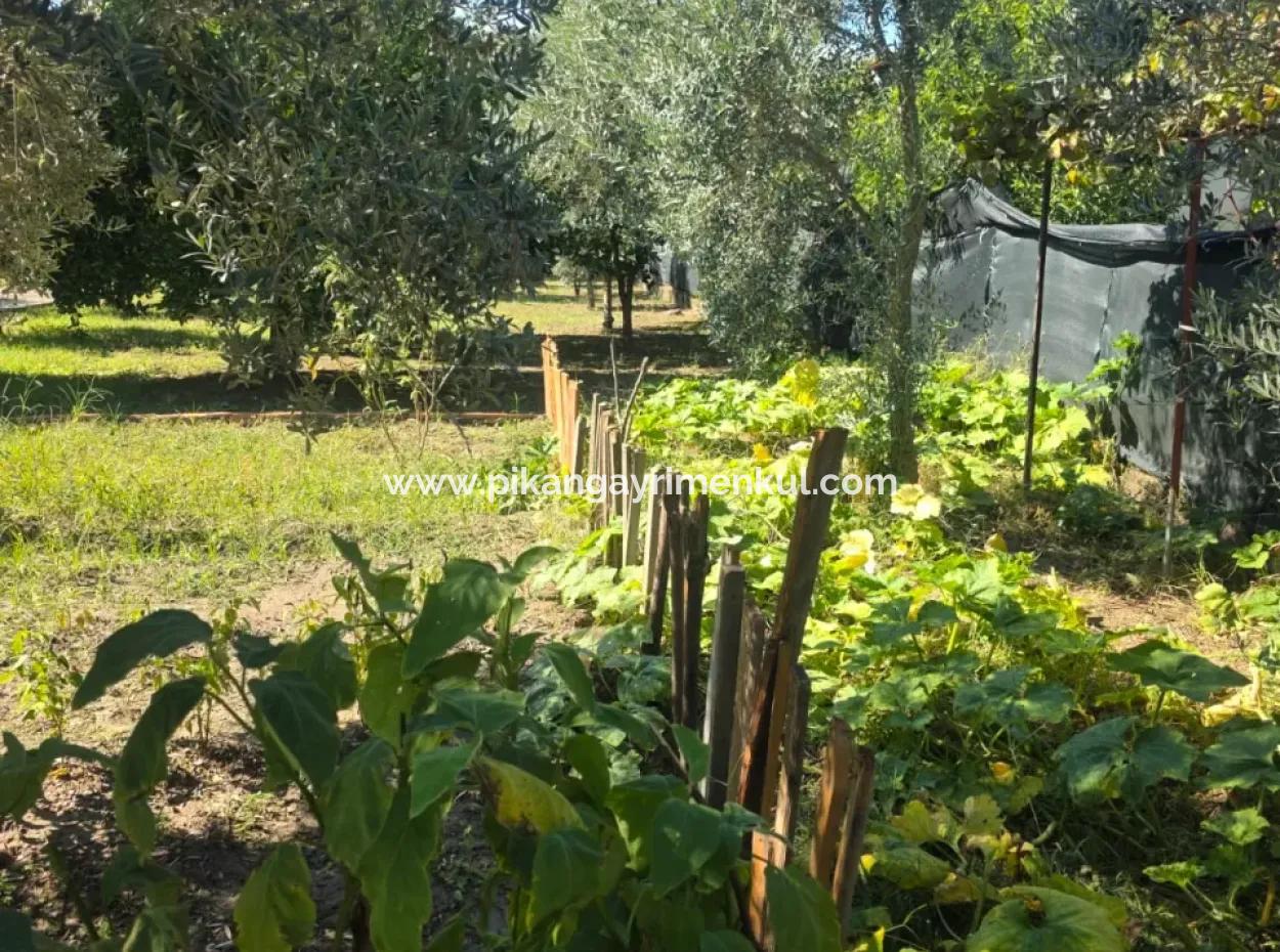 2 1, 70 M2 Village House For Sale On 902 M2 Land Zero To Ortaca Akıncı Sarıgerme Road