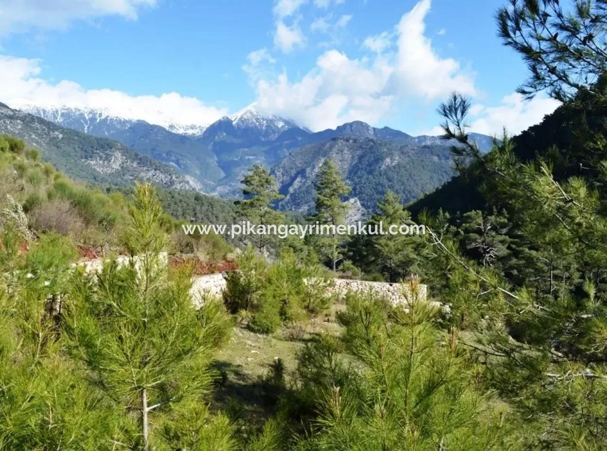 Plot Of Land For Sale In Fethiye Kizilbel