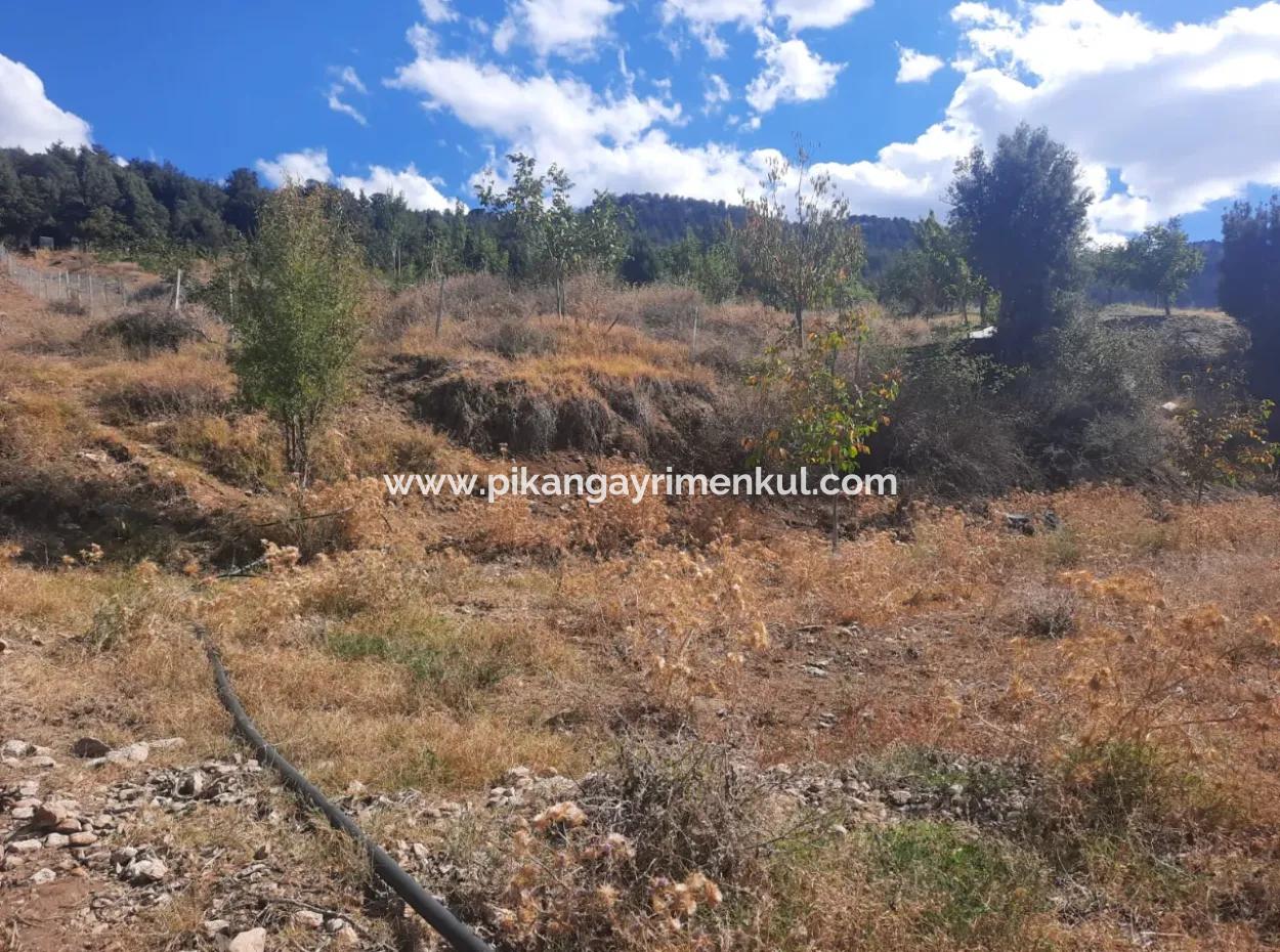 2 1 Houses And 200 M2 Barn On 5 000 M2 Detached Land In Çameli Kızılyaka For Sale