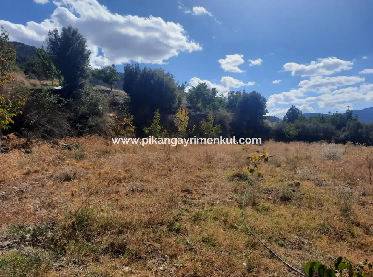 2 1 Houses And 200 M2 Barn On 5 000 M2 Detached Land In Çameli Kızılyaka For Sale