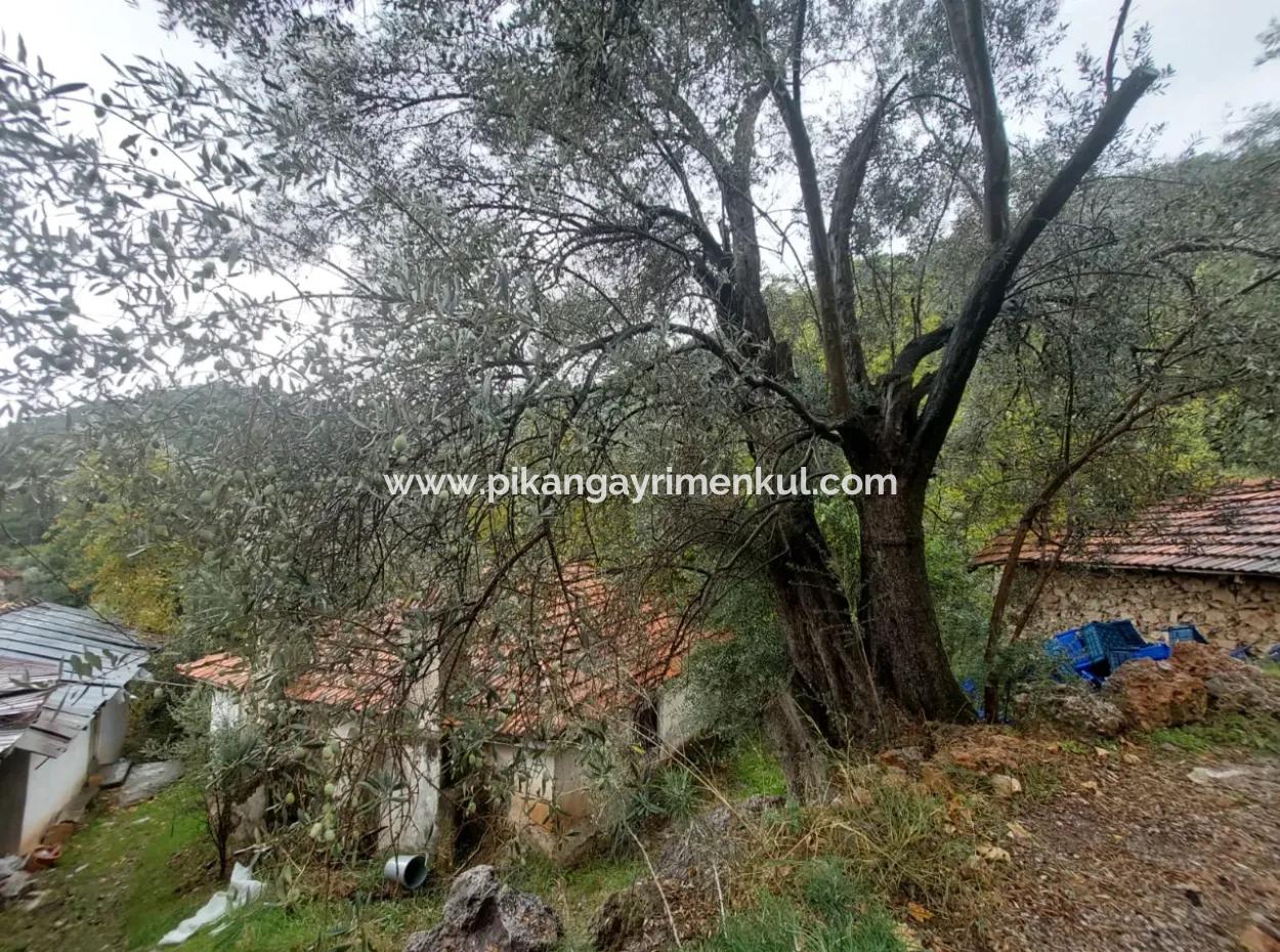 Village House With Title Deed For Sale In Nature In Muğla Fethiye İnlice