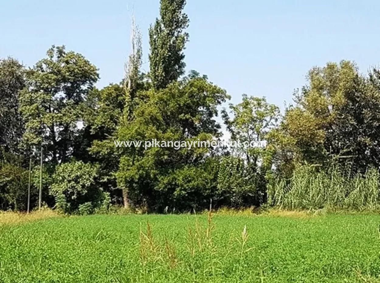 Bargain Plot For Sale In Archer