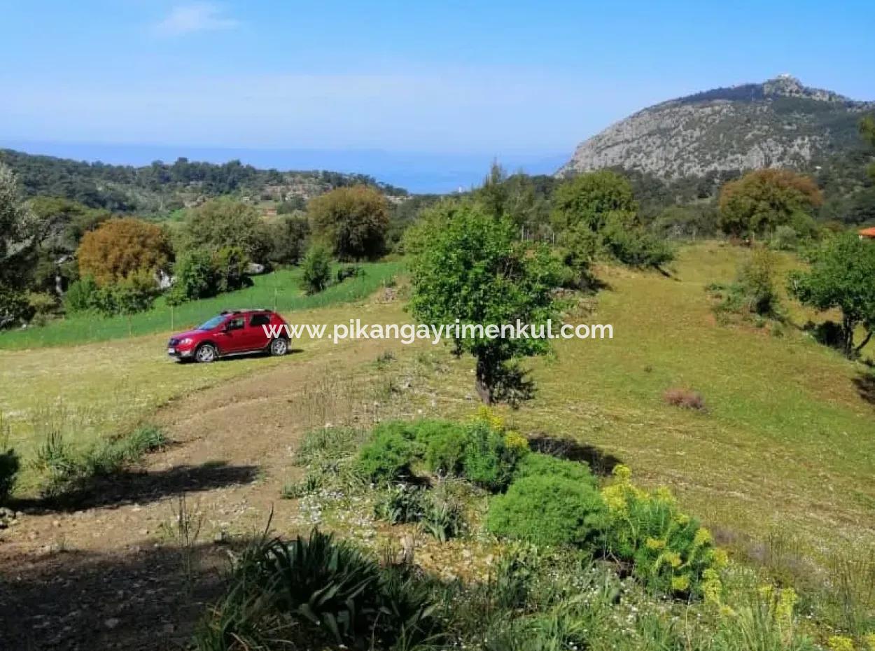 Muğla Ortaca Gökbelde 3200 M2 Shared Land For Sale