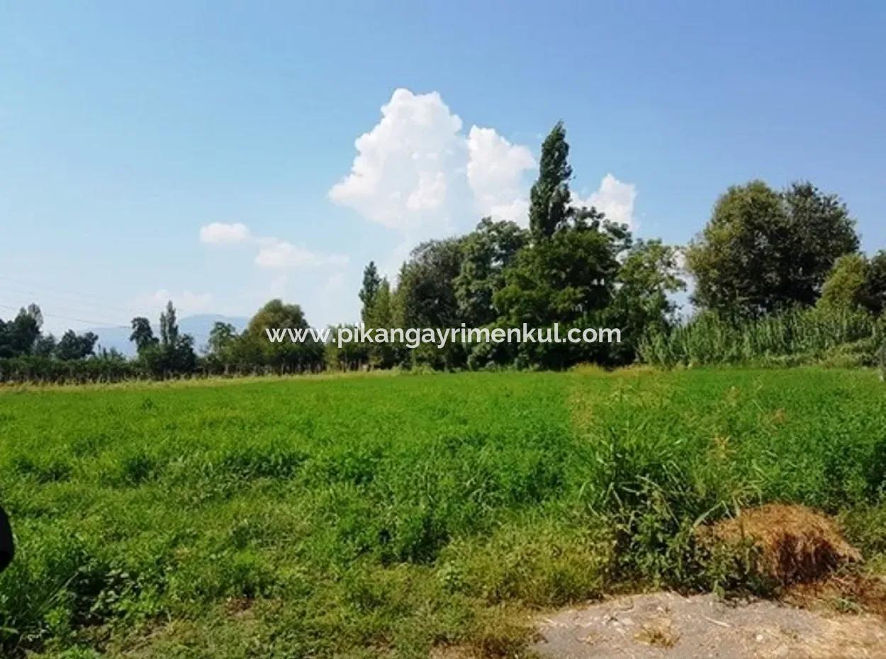 Bargain Plot For Sale In Archer