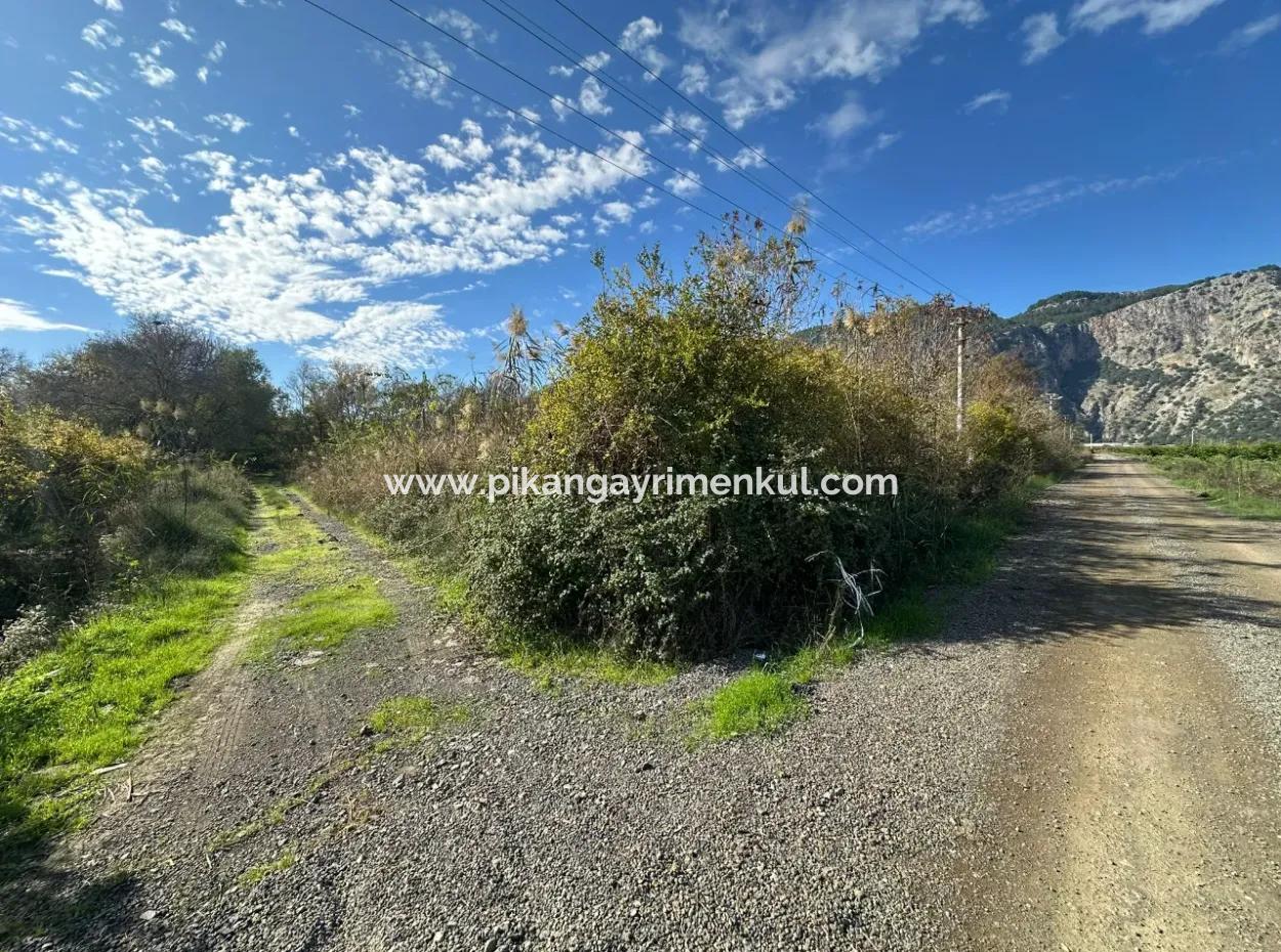 12 000 M2 Field For Sale In Ortaca Yeşilyurt