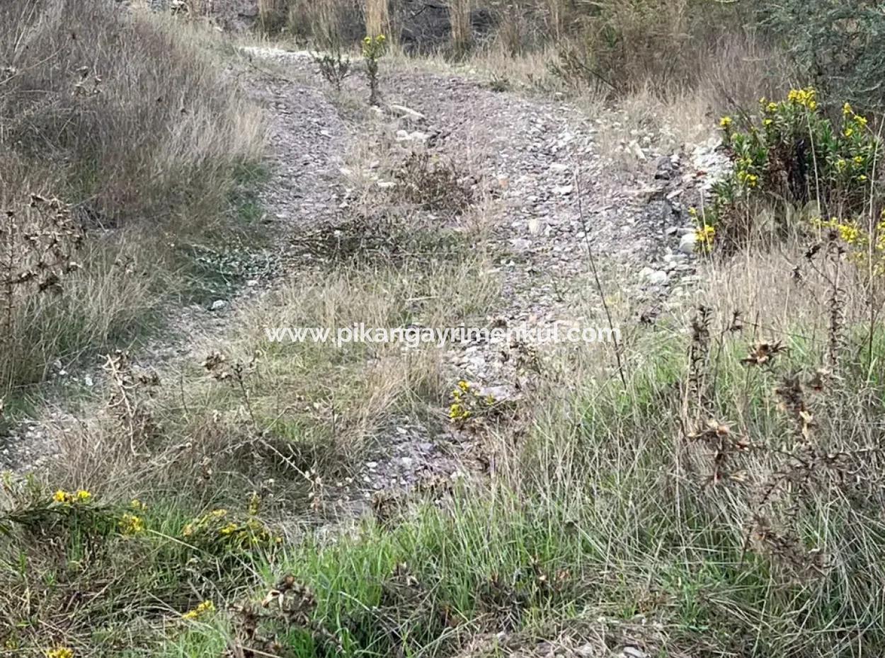 1.025 M2 Qualified Olive Grove Land In Muğla Milas Çakıralan Is For Sale