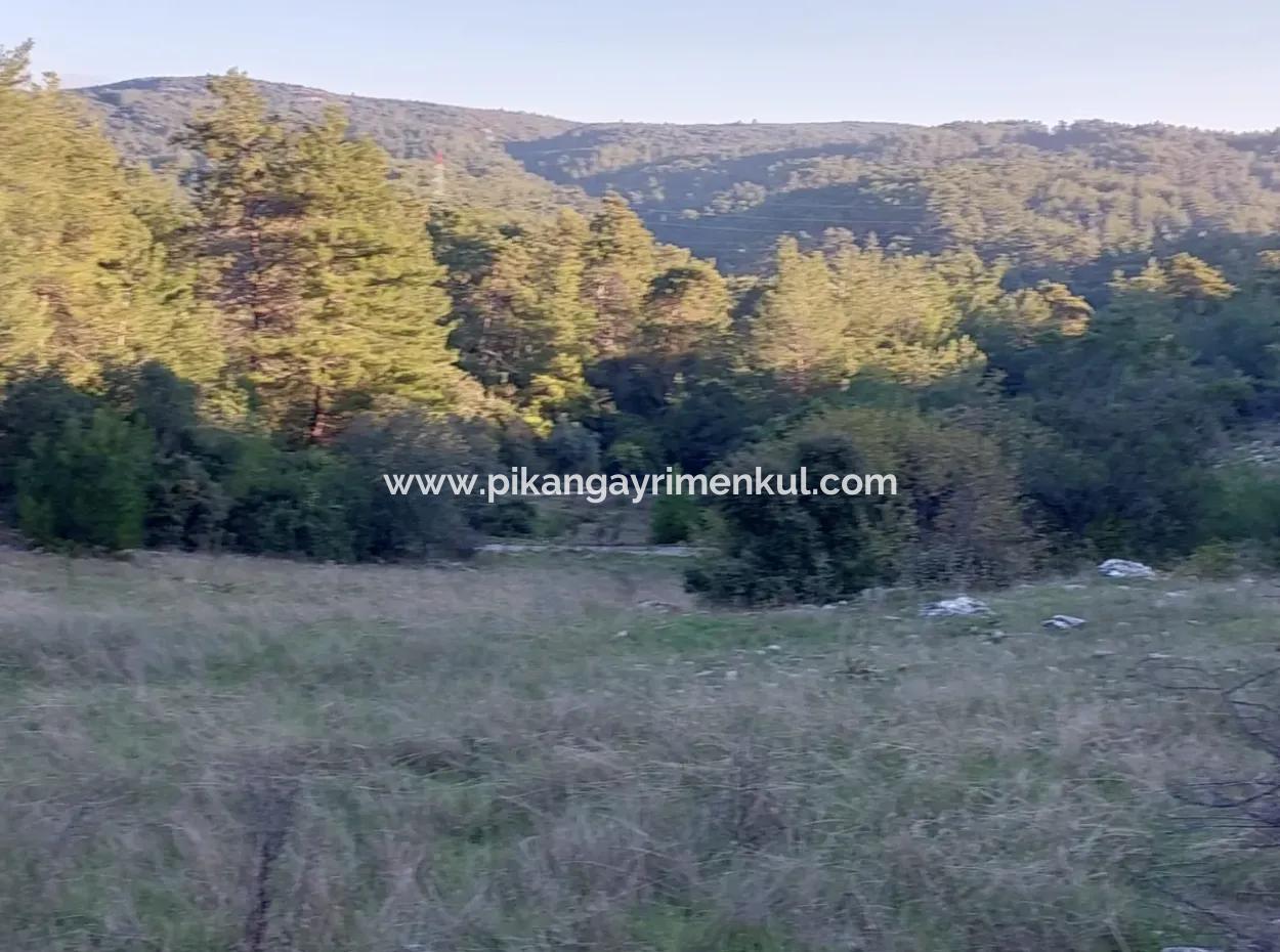 Muğla Ula Kızılyaka 790M2 Treasury Land Possession Right Will Be Transferred Or Vehicle Will Be Exchanged