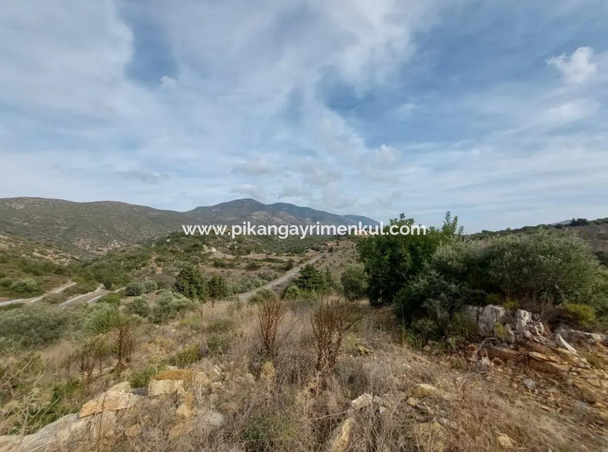 8.400 M² Bargain Olive Grove For Sale With Detached Title Deed In Datça Yazı, Muğla