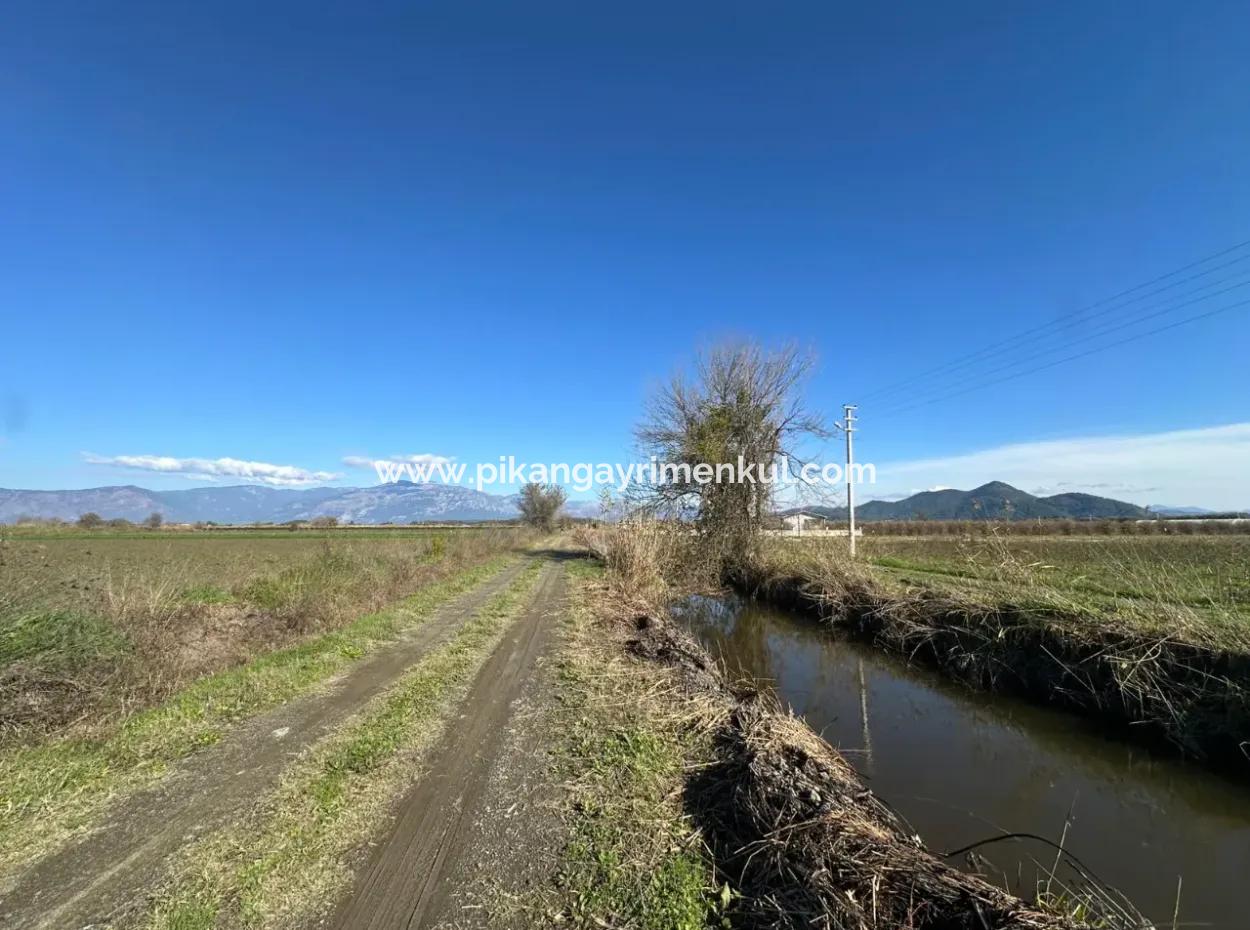 Field For Sale Close To Dalyan, Close To Köyceğiz Lake