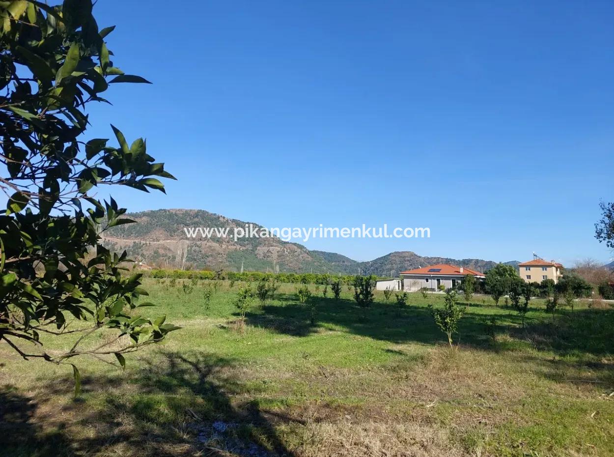 1000M2 Detached Land With 250 M2 Construction Right In Ortaca Okçular For Sale