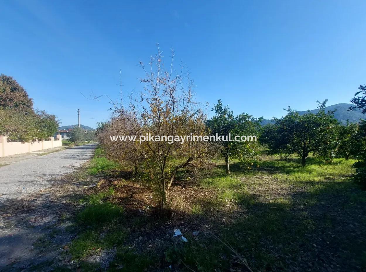 4 500 M2 Land With 150 M2 Construction Right In Muğla Dalyan For Sale Or Exchange For Villa From Dalyan