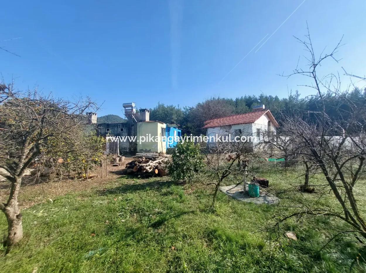 Muğla, Köyceğiz, Kavakarası 2 1, 3 Independent Kelepir Village Houses For Sale On 1500 M2 Land
