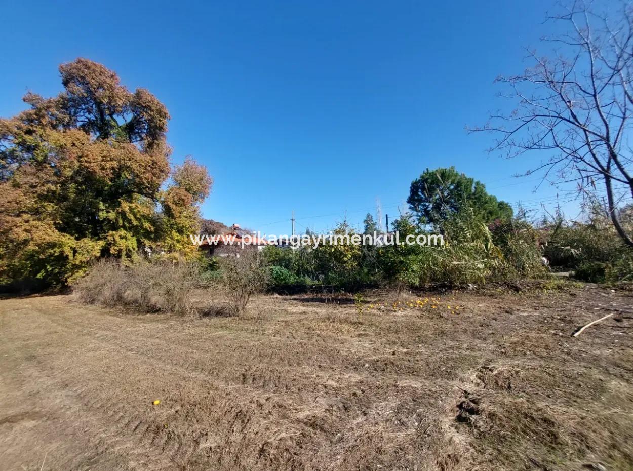 Bargain Suitable For Investment In Muğla Dalyan 4 000 M2 Land By The Forest Is For Sale