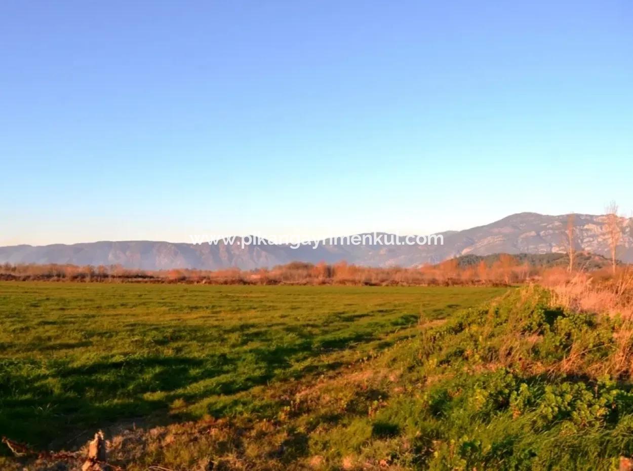 Urgent Land For Sale In Ula Karabogurtlen Bargain