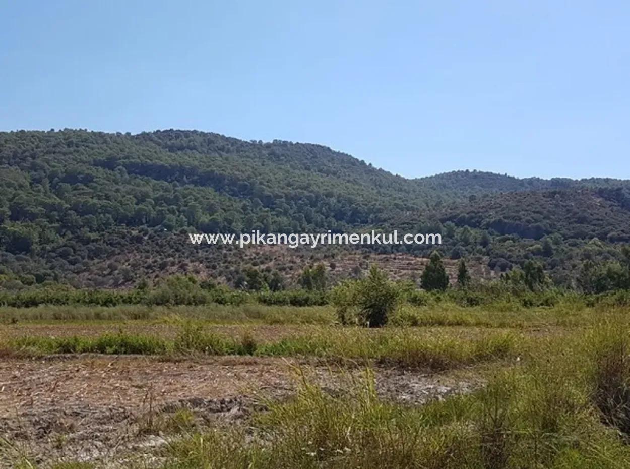 Fertile Land For Sale In Famagusta Bargain