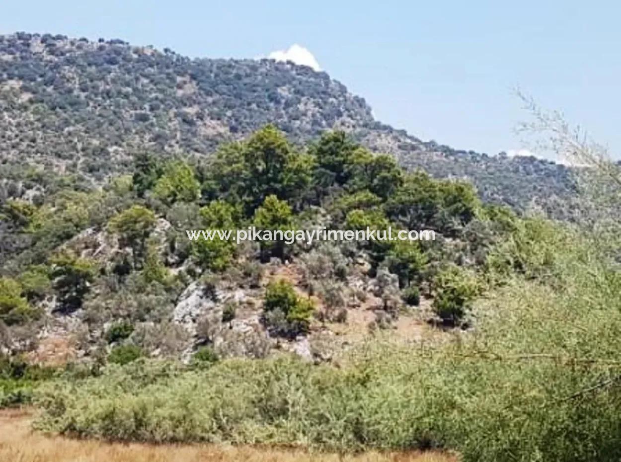 Sea View Land For Sale In Mugla Dalaman Kapıkargın