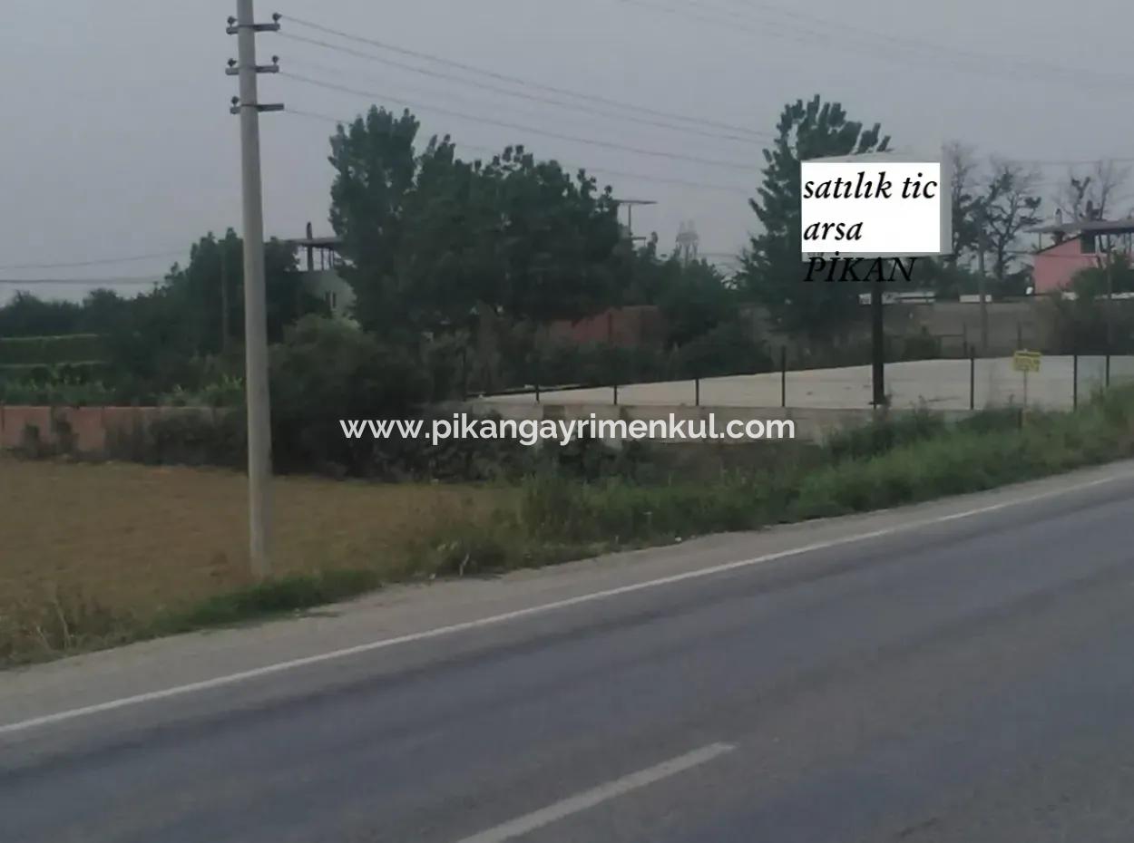 Commercial Zoned Land For Sale In Aydin Incirliova Diabetes