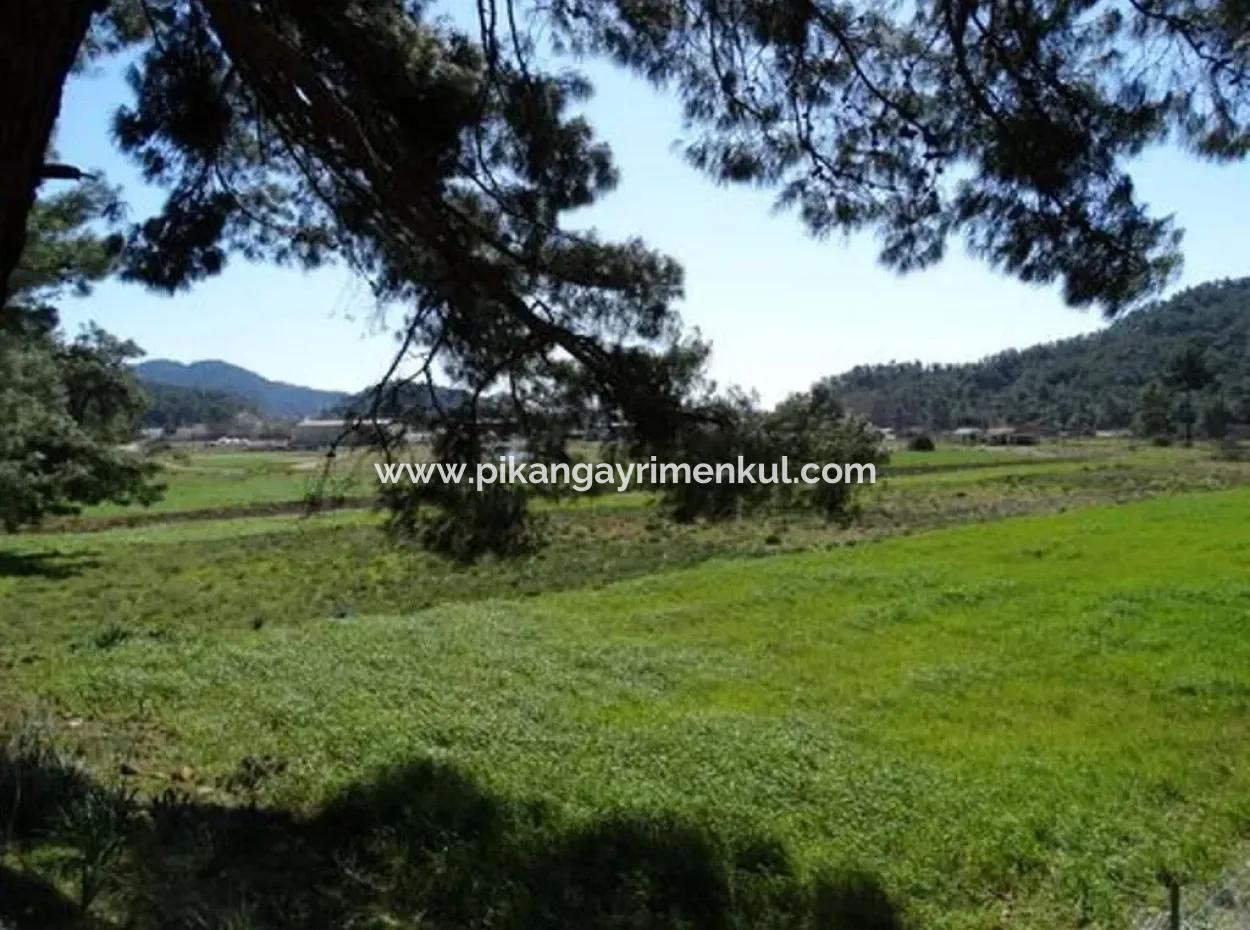 10,000 M2 Of Land Suitable For Investment Is For Sale In Ortaca Gölbasi