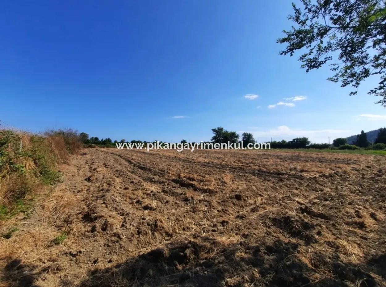 Oriya Fevziye Land For Sale In Zero Road