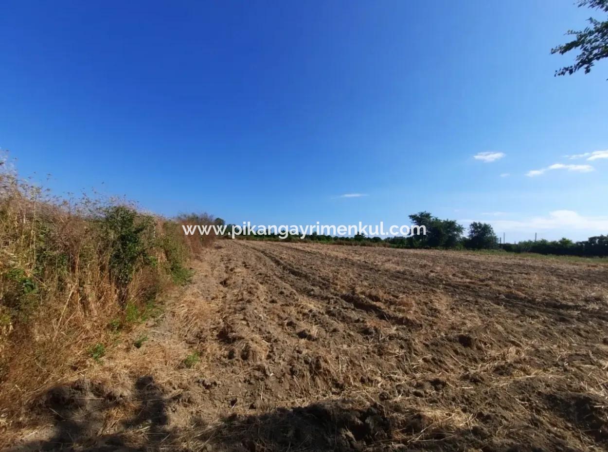 Oriya Fevziye Land For Sale In Zero Road