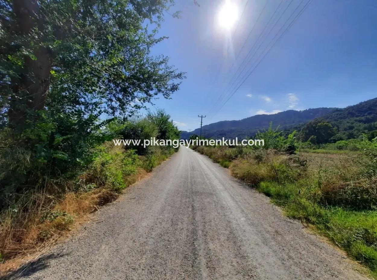 Oriya Fevziye Land For Sale In Zero Road