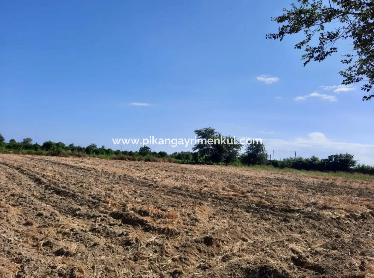 Oriya Fevziye Land For Sale In Zero Road