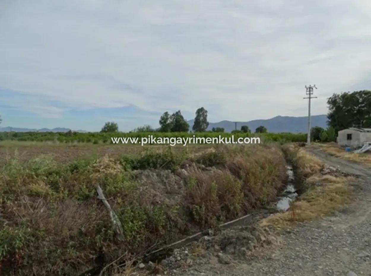 Also Suitable For Investment 31,175 M2 Land For Sale In Koycegiz Up