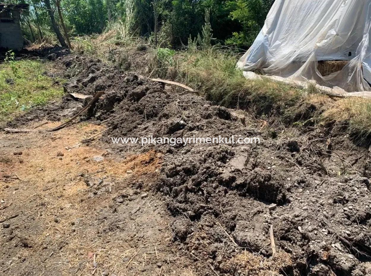 Bargain 450 M2 Plot For Sale In Archer