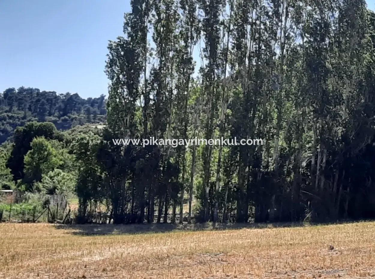 Land For Sale Bargain For Sale In St John Yunuspinar Denizli