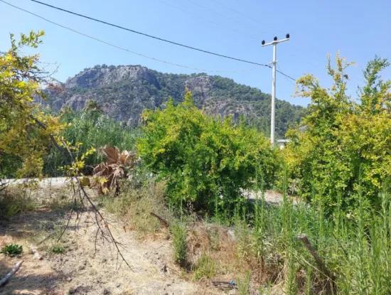 2.800 M² Land For Sale In Dalyan, Muğla, Close To Dalyan Canal