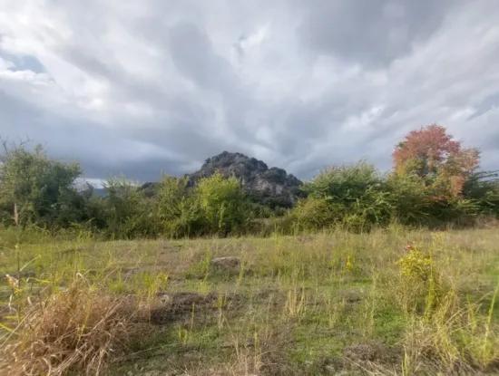 Detached Land Of 15 000 M2, 250 M2 With Construction Rights In Muğla Dalyan Is For Sale