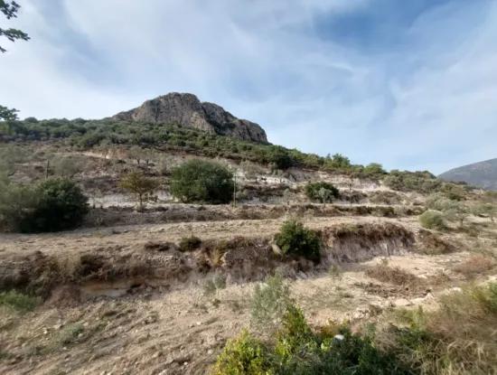 15 200 M2 Detached Land For Sale In Muğla Datça Yazi