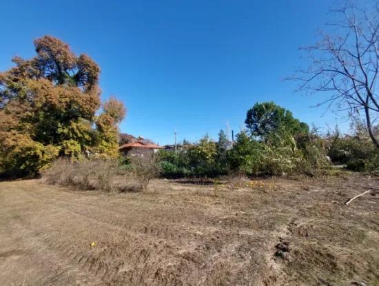 Bargain Suitable For Investment In Muğla Dalyan 4 000 M2 Land By The Forest Is For Sale