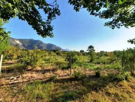 Land Suitable For Investment For Sale In Mugla Dalyan Marmarlı