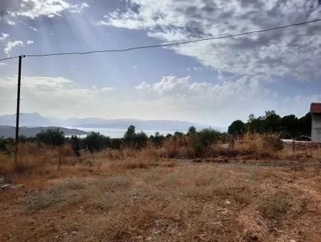 Detached Land With Lake Views For Sale In Köyceeğiz Zeytin Area